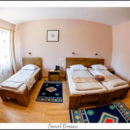 Conacul Domnesc Hotel Scheia Luaran gambar
