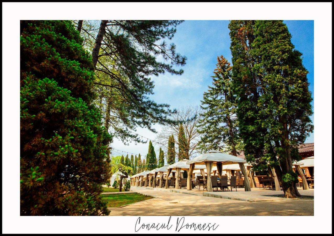 Conacul Domnesc Hotel Scheia Luaran gambar