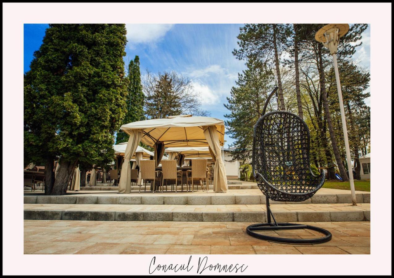 Conacul Domnesc Hotel Scheia Luaran gambar